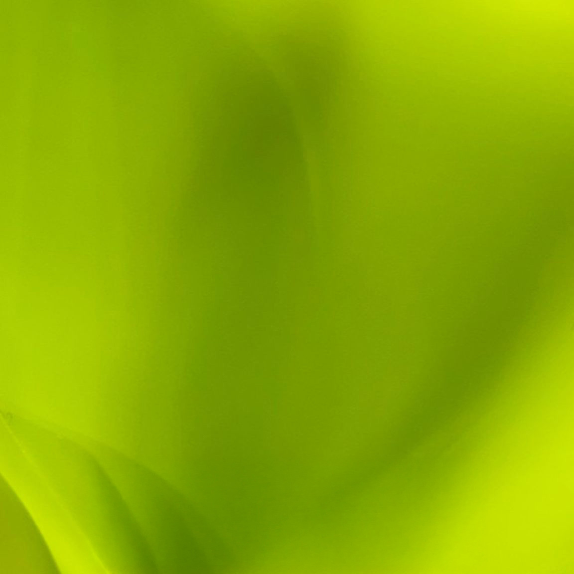 Vibrant Lime Green